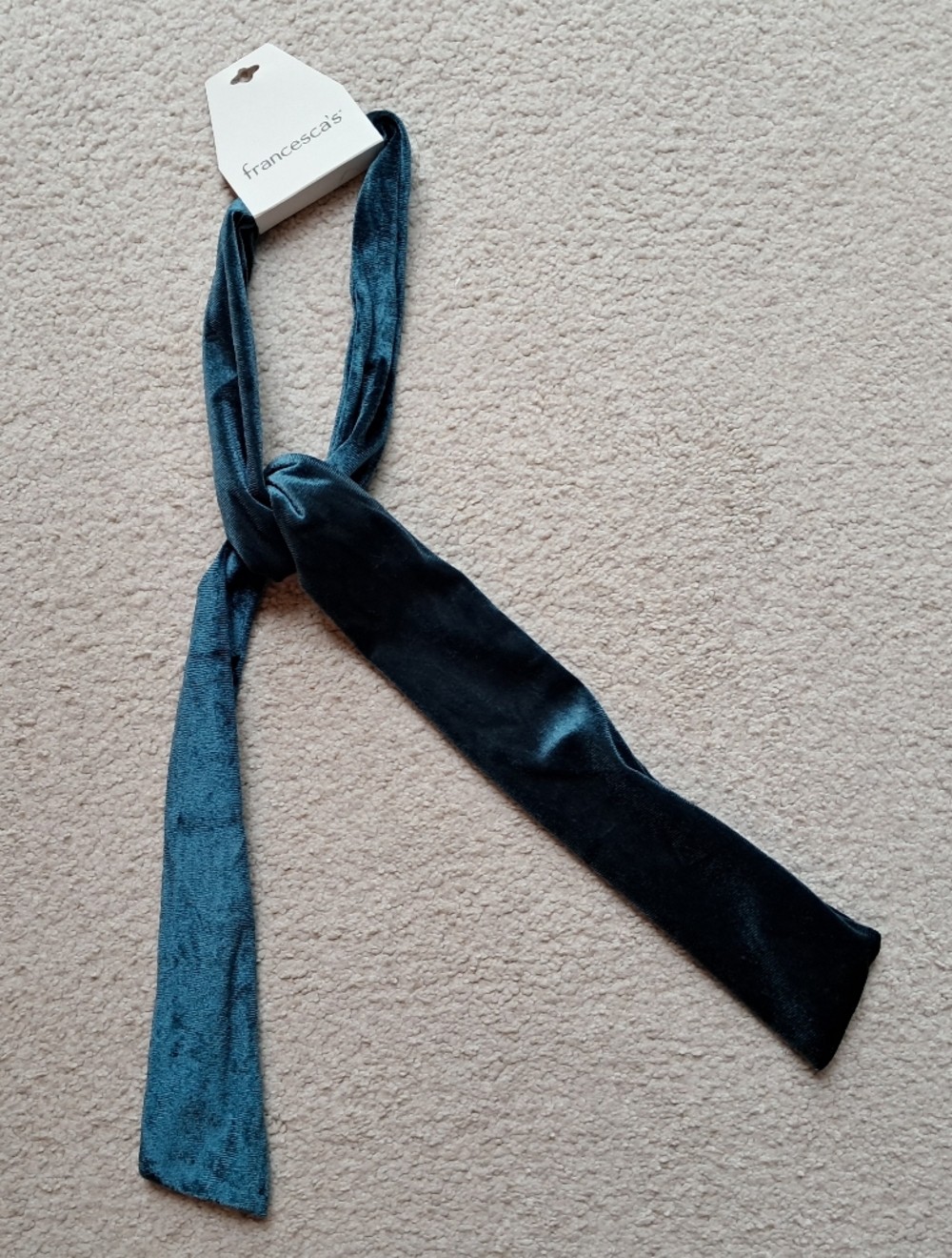 BRAND NEW Francesca's Collections Teal Velvet Hair ribbon/hair tie